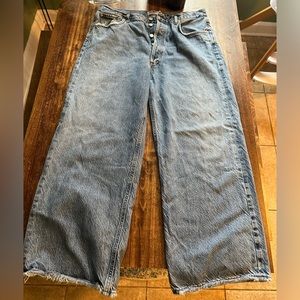 AGOLDE Ren High Rise Wide Leg Jeans